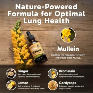 Alternative view of New Maximum Potency Mullein Drops For Cough Control & Lung Rejuvenation