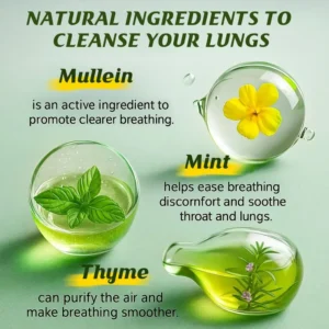 Rebirth Diffuser Set –, Lavender, Mullein & Watermelon |900 Uses Each