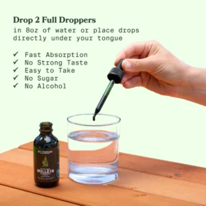 Alternative view of BetterLungs® Mullein + Chlorophyll