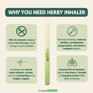 HerbWell Herbal Mullein, Thyme, And Peppermint Lung Purifier Pen