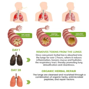 MULLEIN Natural Herbal Tea For Lung Cleanse And Respiratory Support