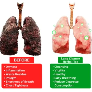 MULLEIN Natural Herbal Tea For Lung Cleanse And Respiratory Support