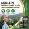 🌿 ODEIUN® 3X Mullein Lung Spray — Flush Out "Tar & Phlegm" for Smokers & COPD