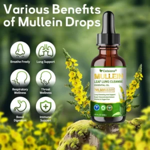 ⚡🫁✅𝐔𝐒 𝐎𝐟𝐟𝐢𝐜𝐢𝐚𝐥 𝐒𝐭𝐨𝐫𝐞|𝐂𝐞𝐥𝐬𝐢𝐨𝐫𝐚® 𝐎𝐫𝐠𝐚𝐧𝐢𝐜 𝐌𝐮𝐥𝐥𝐞𝐢𝐧 𝐋𝐞𝐚𝐟 𝐋𝐮𝐧𝐠 𝐂𝐥𝐞𝐚𝐧𝐬𝐞 𝐄𝐬𝐬𝐞𝐧𝐭𝐢𝐚𝐥 𝐎𝐢𝐥 (💖Cough, wheezing, shortness of breath, sputum, stuffy nose, bronchitis, bronchitis, allergy symptoms, lung discomfort💝)