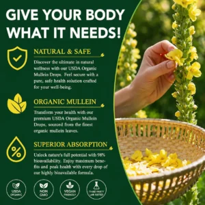 Mullein Leaf & Chlorophyll Drops for Lung Cleanse & Mucus Support