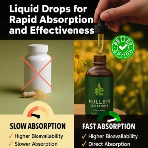 VOLT Mullein Leaf Drops Lung Cleanse & Support