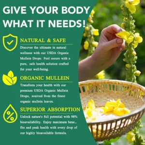 Mullein Drops — NaturalLung Support