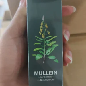 Mullein Drops — NaturalLung Support