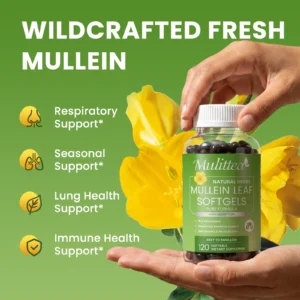 Mulittea® Mullein Leaf Softgels - Premium 10:1 Concentrated Extract 450mg Per Serving for Respiratory & Lung Health Support (120 Softgels)