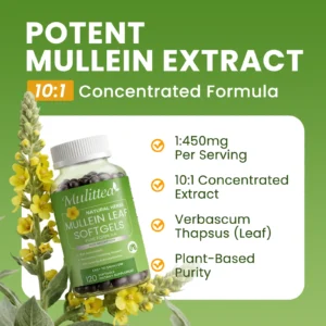 Mulittea® Mullein Leaf Softgels - Premium 10:1 Concentrated Extract 450mg Per Serving for Respiratory & Lung Health Support (120 Softgels)