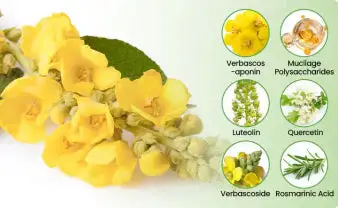 NEYEROS® Botanical Mullein Lung Cleanse Diffuser(Cough, Pharyngitis, shortness of breath, sputum, stuffy nose, bronchitis, bronchitis, allergy symptoms, lung discomfort✅)