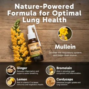 ✨😍FDA Approved|Celsiora® New Maximum Potency Mullein Spray (Helps relieve difficulty coughing up phlegm, shortness of breath, excessive mucus and lung infections)