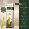 Lung Reversal System — Mullein Herbal Lung Support