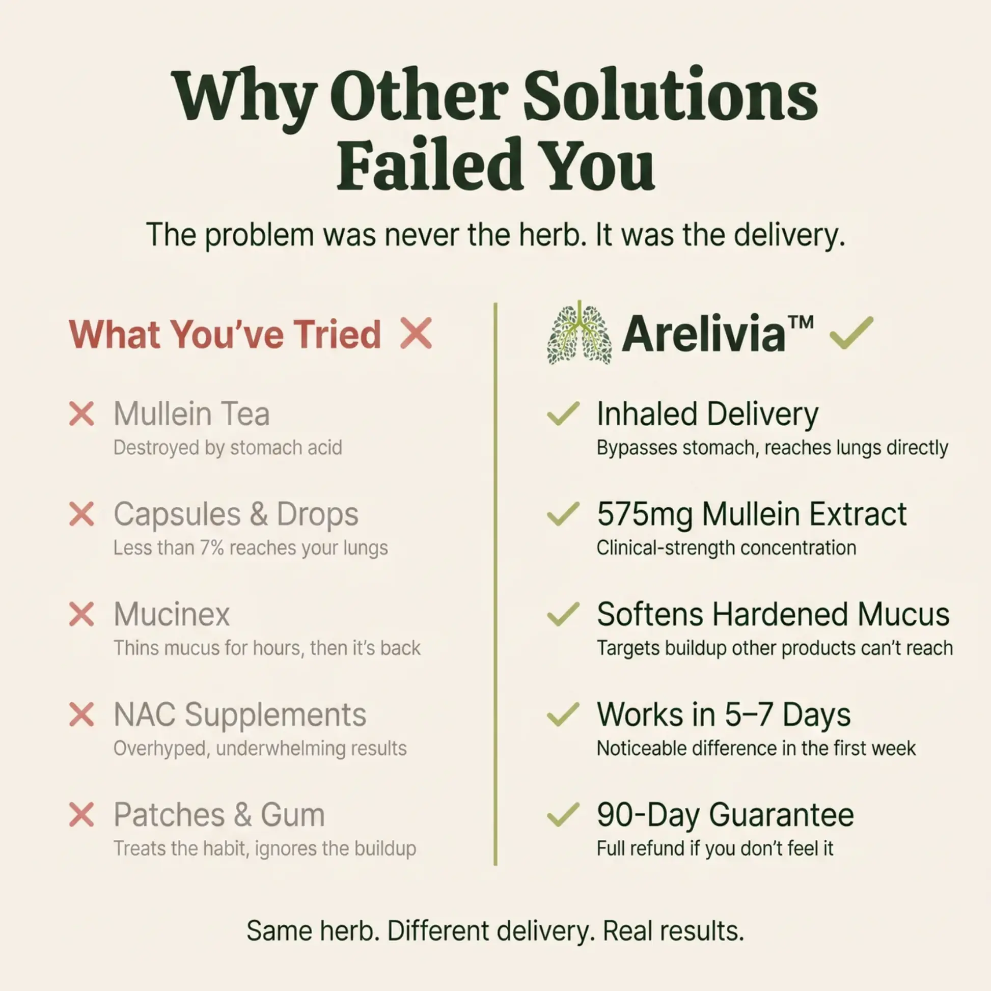 Lung Reversal System — Mullein Herbal Lung Support