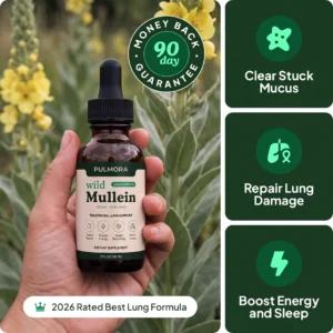 Pulmora Mullein Drops