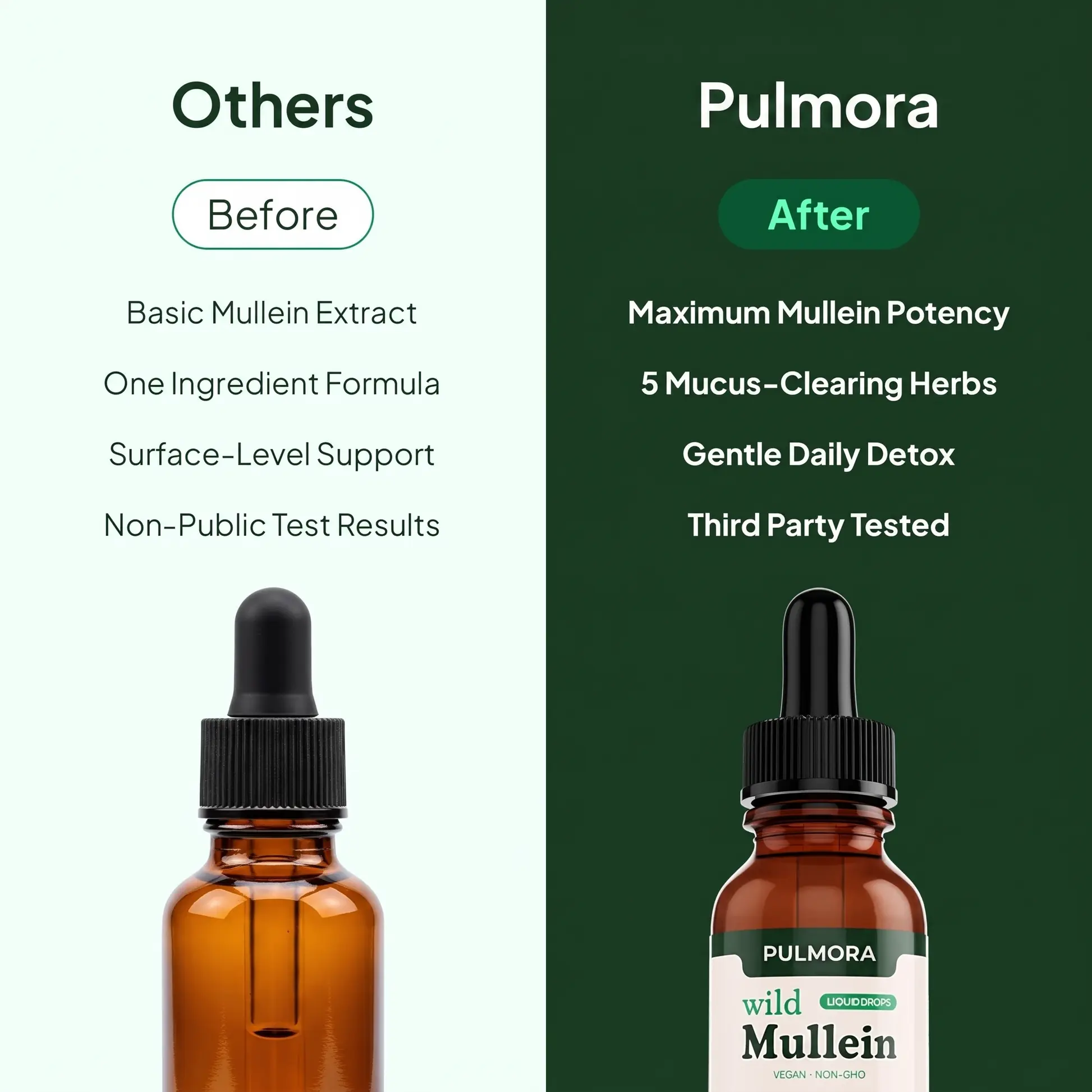 Pulmora Mullein Drops