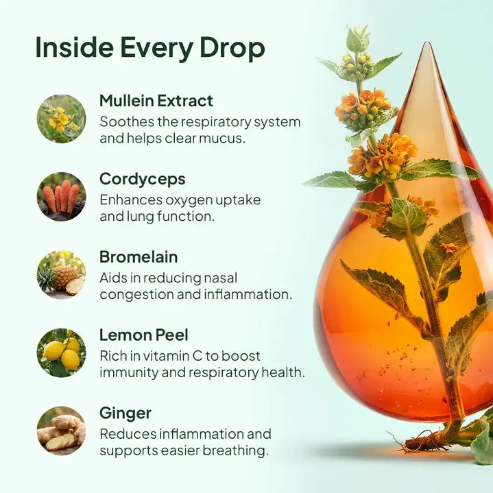 Pulmora Mullein Drops